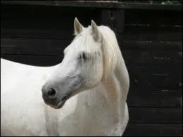 Ah les veilles de mon enfance !