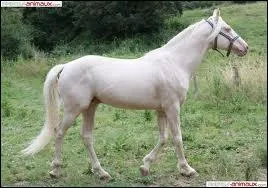 Quelle est cette robe ?