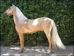 Quelle est cette robe ?