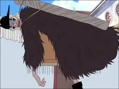 Quel est son statut dans l'quipage ?