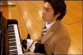 Quel est le vrai nom de TOP ?