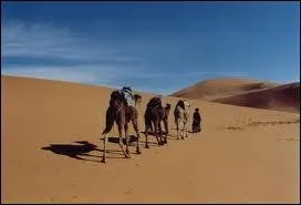 Le dsert du Sahara s'tend sur plusieurs pays dont le Soudan, la Libye, la Mauritanie, la Tunisie, le Mali et le Gabon.