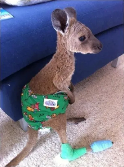 C'est le sentiment que je vous souhaite pour 2013 !