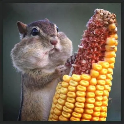 Vous avez bien profit du rveillon, le repas vous a plu ? Oui ? Alors vous connaissez ce sentiment !