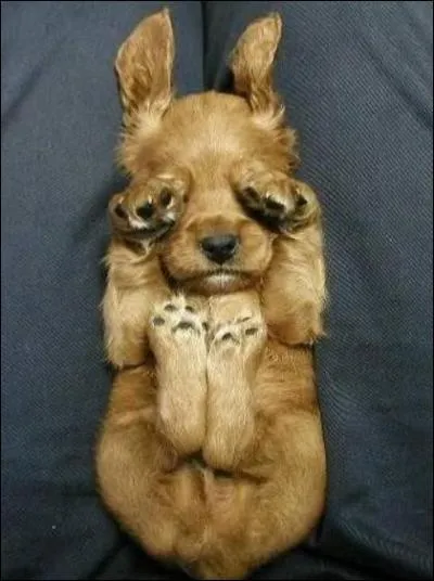 Vous dbarquez  l'improviste chez un couple de vos amis, ils sont dans une tenue qui ne laisse gure de doutes sur leur occupation, quel sentiment prouvez-vous ?