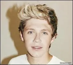 Qui est ce membre des One Direction ?