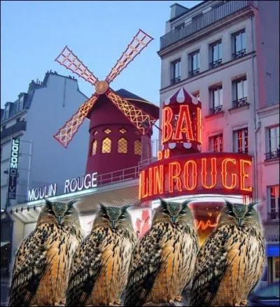 Faire une vire nocturne en faisant la fte sans regarder  la dpense... .