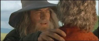 Quel personnage a ft ses 111 ans dans le premier film ?