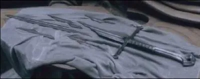 L'pe d'Isildur qui fut brise et qui prit le nom d'Anduril lorsqu'elle fut reforge, se nommait :