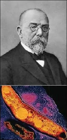 Il est connu pour sa dcouverte de la bactrie responsable de la tuberculose (qui porte son nom). Qui a reu le prix Nobel de physiologie ou mdecine en 1905 ?