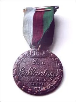 En Grande-Bretagne, ils sont les animaux qui ont t le plus rcompenss pour leurs actions durant une guerre, ils ont reu la  Dickin Medal  !