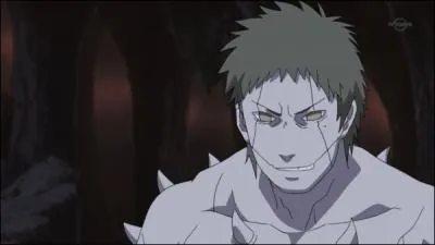 Pendant la quatrime guerre ninja, combien de zetsu blancs y a-t-il ?