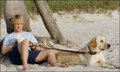 De quel film vient cette image ?