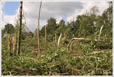Il y a quelques annes une violente tornade a frapp Maubeuge et sa rgion. C'tait en :