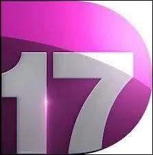 En quelle anne cette chane a-t-elle t cre ?