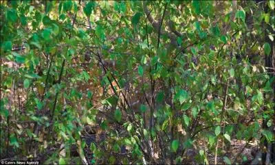 Il est tellement immense qu'on ne le voit pas !