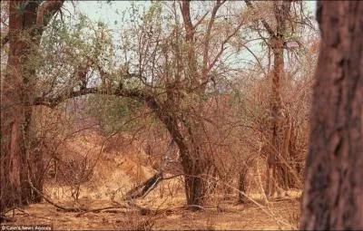 Dans ce paysage africain, dcouvrez-la !