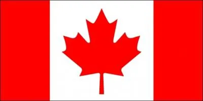 Quel pays reprsente ce drapeau ?