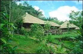 Cap sur l'Amrique et prcisment  Manaus. O est-ce ?