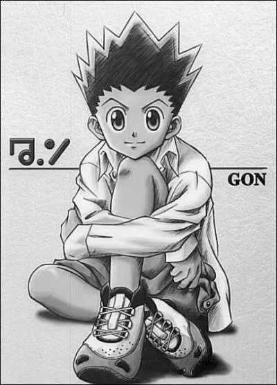 Qui est ce personnage d'  Hunter X Hunter  (de Yoshihiro Togashi) ?
