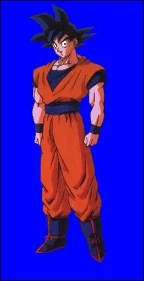 Qui est ce personnage de  Dragon Ball Z  (d'Akira Toriyama) ?