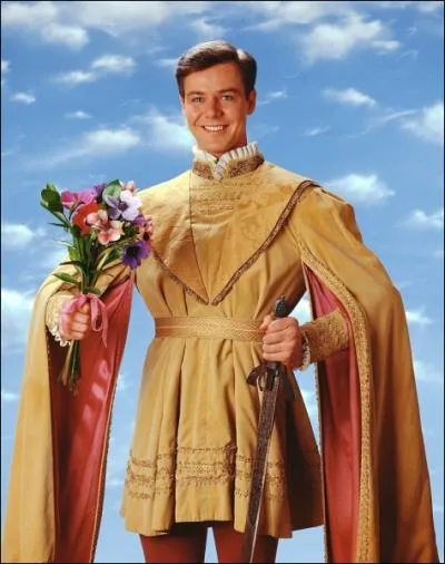 L'acteur Christopher Rich a t le Prince Charmant Eric dans une srie TV amusante qui s'intitulait ?