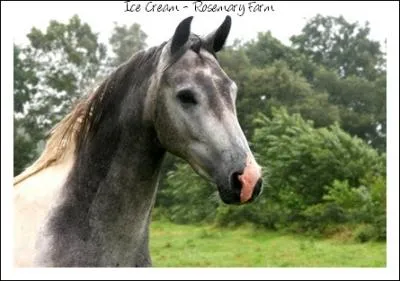 Quelle est cette robe ?