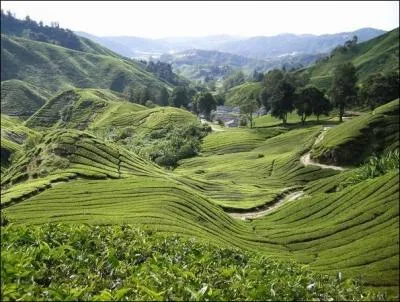 Les Highlands sont une rgion montagneuse peu peuple et peu fertile dont plusieurs sommets dpassent 1000 mtres d'altitude. Dans quel pays peut-on les admirer ?