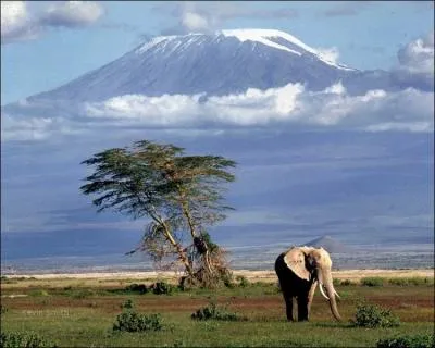 Le Kilimandjaro, montagne située au nord-est de la Tanzanie culmine à Uhuru pic à ... mètres d'altitude.
