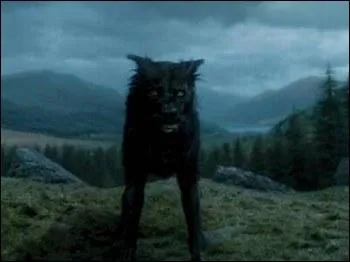 Quel personnage a comme surnom  Patmol  ?