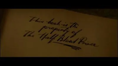 Qui est le Prince-de-sang-ml ?