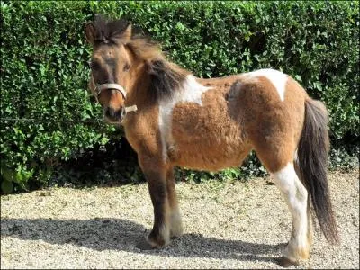 Compliqu, mais alors quelle est cette robe ?