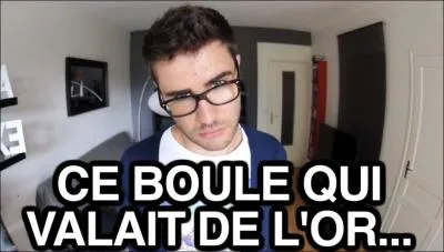 Quel chanteur n'a-t-il pas critiqué ?