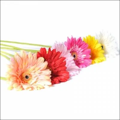 Fleur aux couleurs varies, on me retrouve dans beaucoup de bouquets, qui suis-je ?