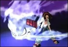 Que manient les shamans lors d'un combat ?