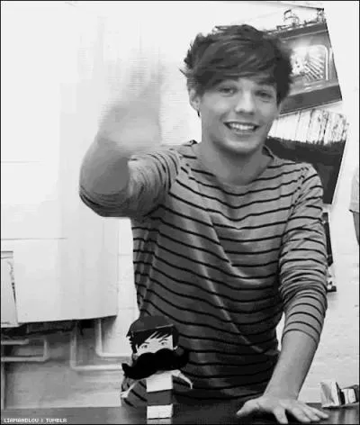 O vont-ils donner leur concert le 1er mai 2013 ?