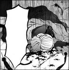 Pourquoi le duc Barma a-t-il bless Sheryl Rainsworth ?