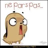 Qui chante  T'en vas pas  ?