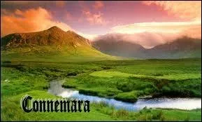 Qui chante  Les lacs du Connemara  ?