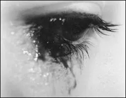 Qui chante  Tu ne m'as pas laiss le temps  ?