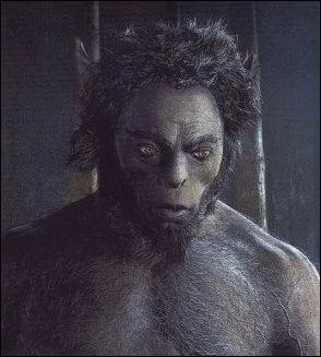 Quel est le nom du centaure qui a sauv Harry dans la fort interdite ?