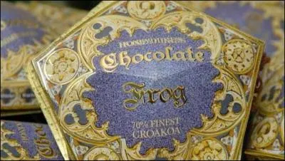 Qui tait le personnage de la carte trouv dans les chocogrenouilles par Harry ?