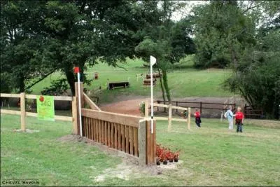 Lequel n'est pas un obstacle ?