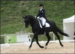 Laquelle n'est pas une figure de dressage ?