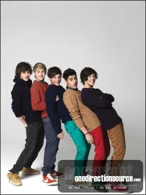 Dans quelle srie ont-ils jou ?