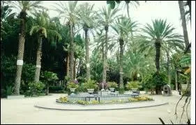 Le voyage se poursuit  Elche et sa magnifique palmeraie. Dans quel pays sommes-nous ?