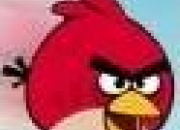 Quiz Quiz Angry Birds