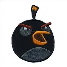 Quelle fonction spciale cet oiseau a-t-il ?