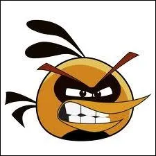 Quelle fonction spciale cet oiseau a-t-il ?