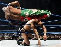 Quel est ce finisher ?